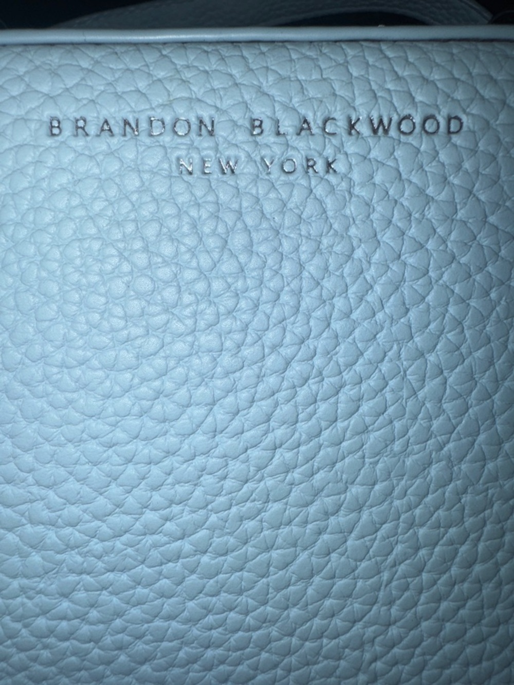 Brandon Blackwood Leather Mini Kendrick Trunk - Powder Blue